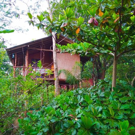 Апартаменты Akash Treehouse Сигирия Экстерьер фото