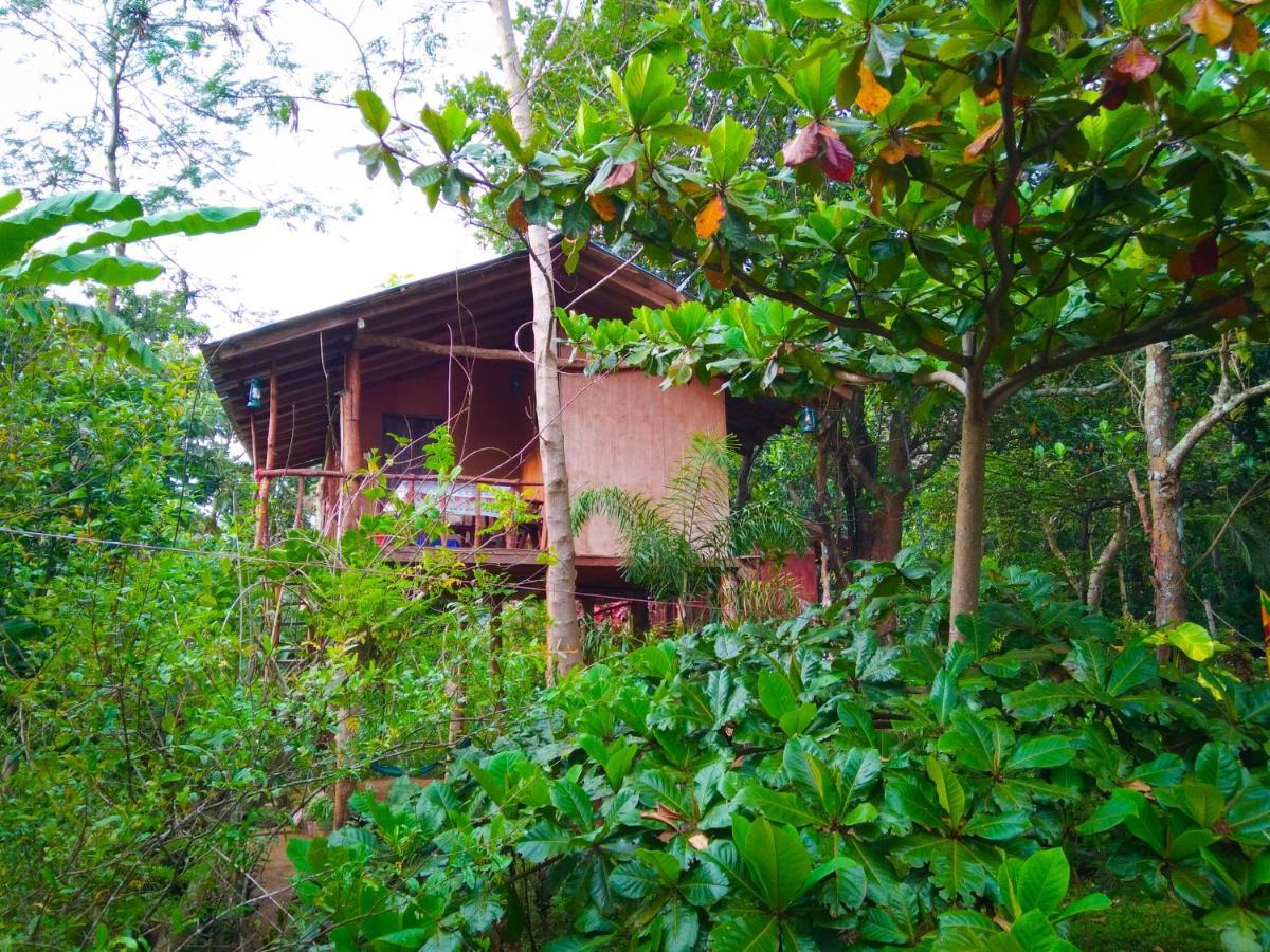 Апартаменты Akash Treehouse Сигирия Экстерьер фото