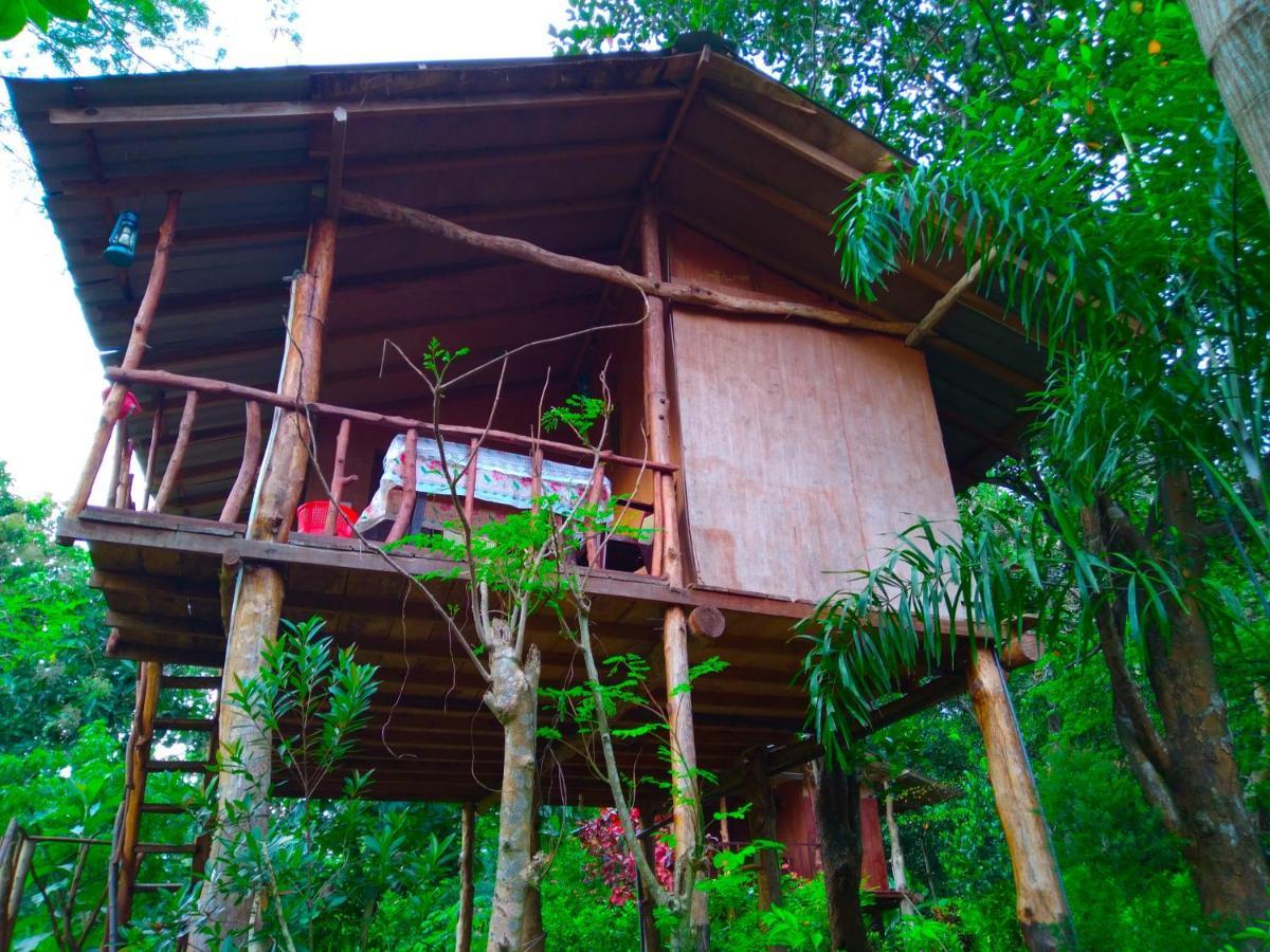 Апартаменты Akash Treehouse Сигирия Экстерьер фото