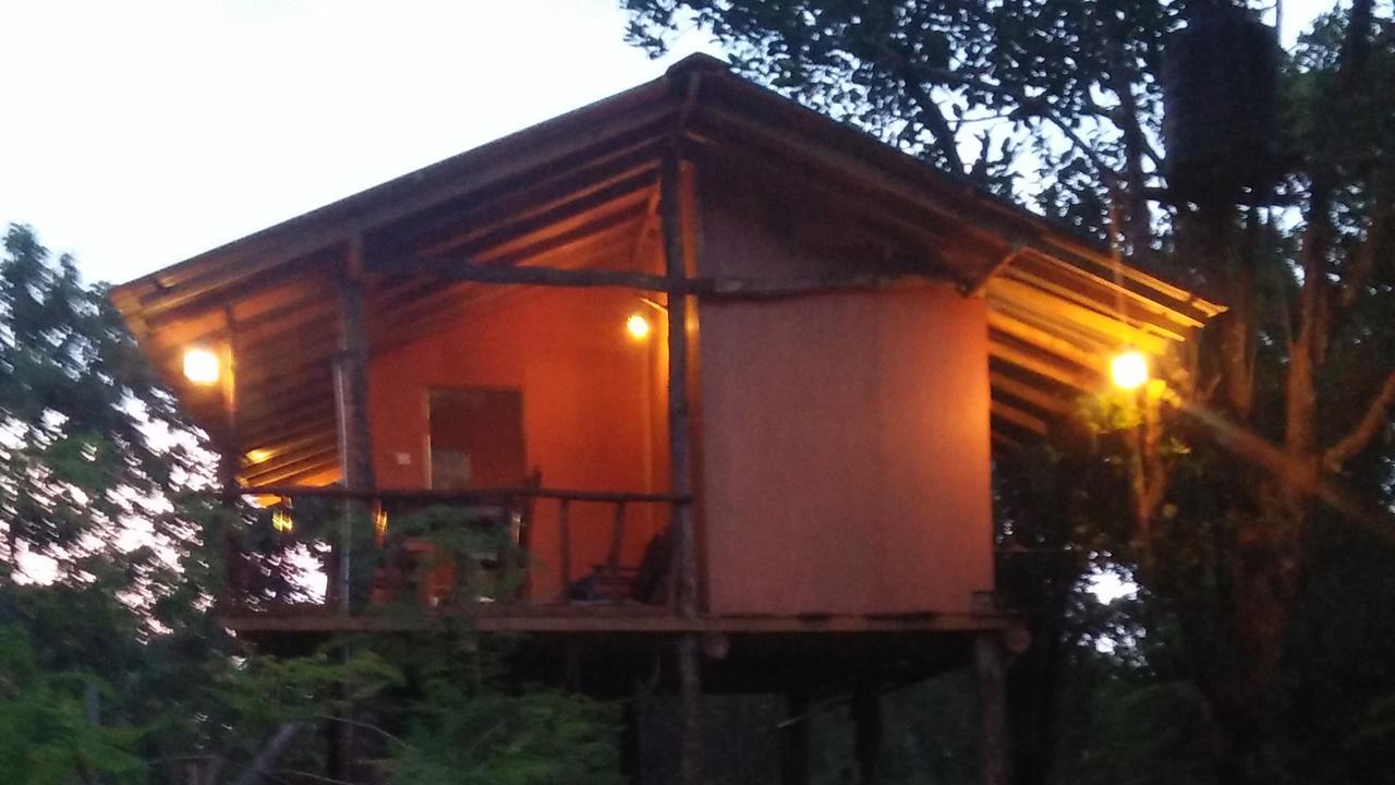 Апартаменты Akash Treehouse Сигирия Экстерьер фото