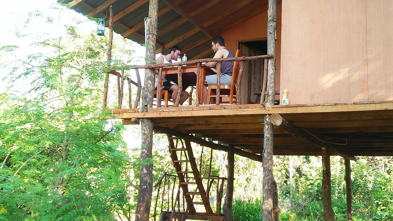 Апартаменты Akash Treehouse Сигирия Экстерьер фото